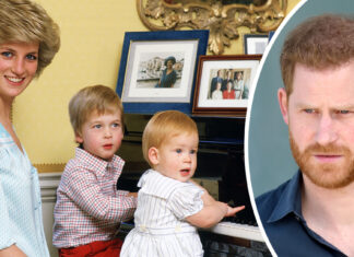 Prince William’s true feelings for Prince Harry revealed in never-before-seen Diana letters