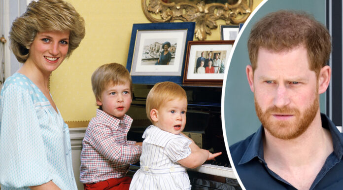 Prince William’s true feelings for Prince Harry revealed in never-before-seen Diana letters
