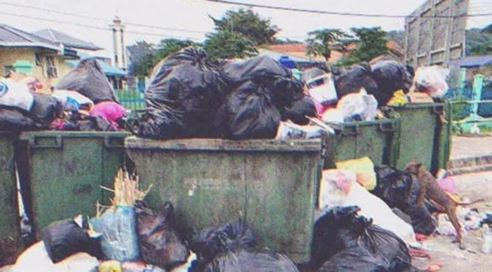 Homeless woman finds a pile of money in the trash and returns it, only to be thrown out by the ungrateful owner