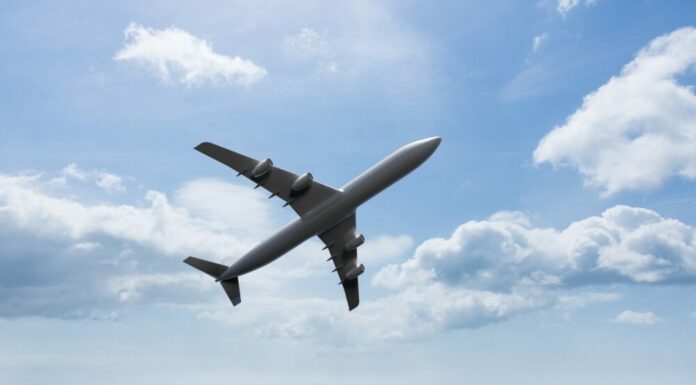 Woman loses her husband in a plane crash – Years later she bumps into him and his mother at a local store