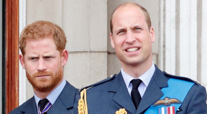 A source has made a shocking claim that Prince William and Prince Harry might only reunite at King Charles’ funeral