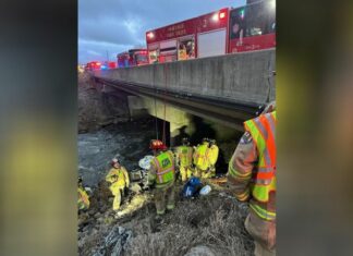 Fishermen noticed a glimmering object by a creek, marking the beginning of what would become a ‘miracle’