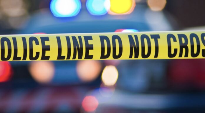 Father and missing 6-year-old found fatally shot at remote campsite
