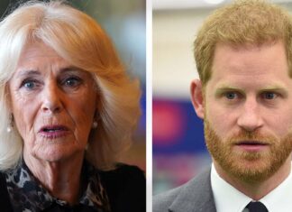 Source claims Queen Camilla ‘limits’ Prince Harry from having any interactions with King Charles