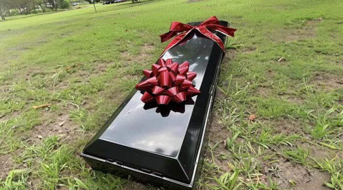 A coffin with a gift bow was brought to our wedding during the ceremony — I nearly fainted when it opened