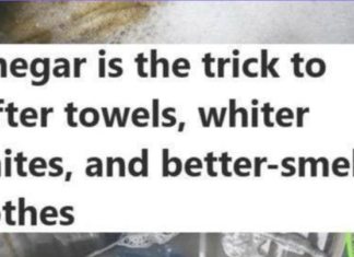 Vinegar is the secret to softer towels, whiter whites, and other laundry solutions