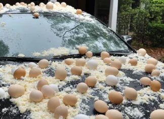 My neighbor egged my car because it was ‘blocking the view’ of his Halloween decorations