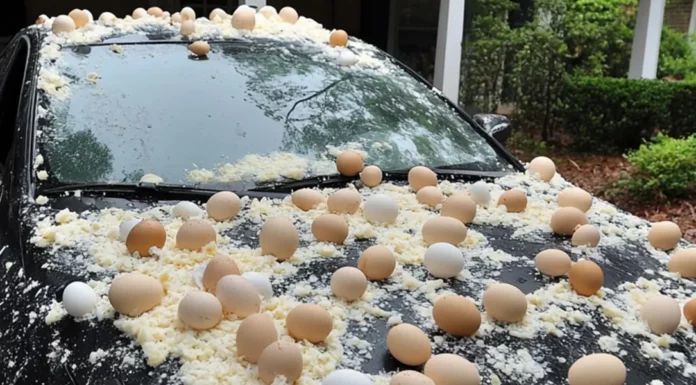 My neighbor egged my car because it was ‘blocking the view’ of his Halloween decorations