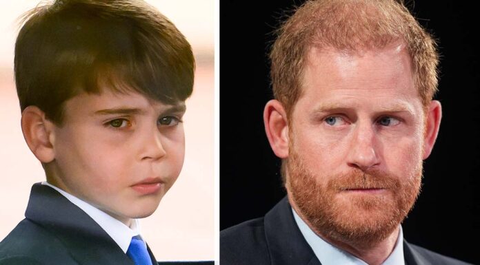 Prince Louis and his siblings are ‘likely asking questions’ about Prince Harry