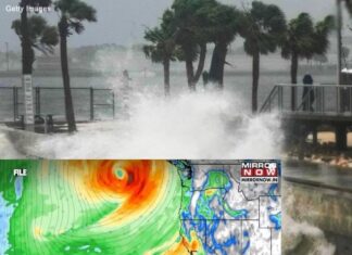 Cyclone Emergency Declared Across Three States—Stay Prepared