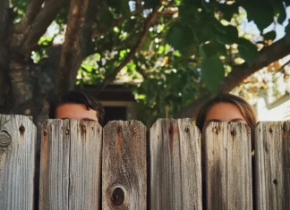 Bizarre neighbor stories with endings you won’t see coming