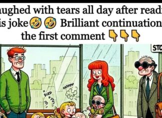 They are Waiting at the Bus Stop: A Joke You’ll Never Forget!