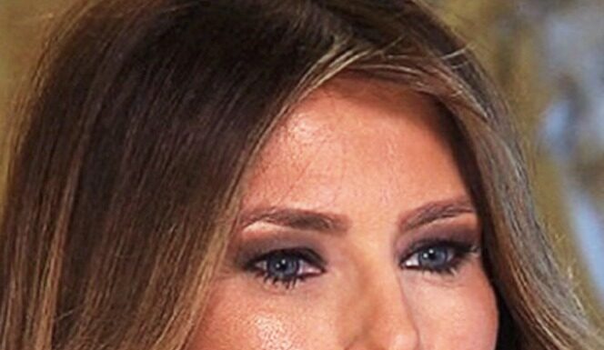 Melania Trump’s Sensitive Photos Aired on Russian TV After Election