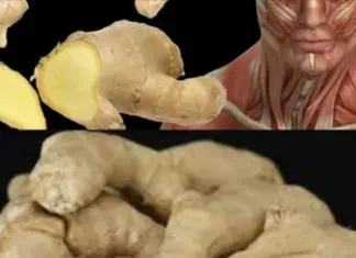 Surprising Health Benefits of Eating Ginger Every Day