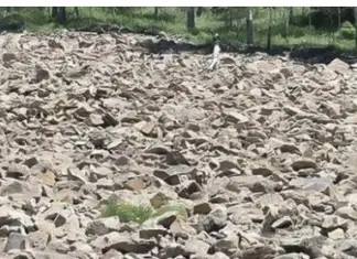 Test Your Vision: Can You Spot the Hidden Woman?