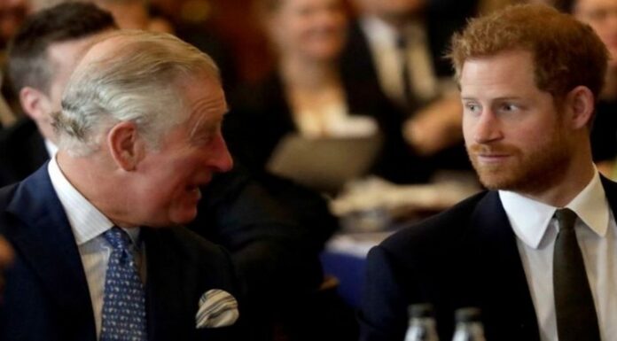 Is this man the true cause of enmity between Prince Harry and King Charles?