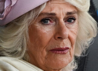 Queen Camilla: Major health update after chest infection