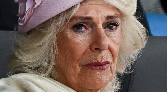 Queen Camilla: Major health update after chest infection