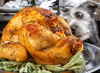 Thanksgiving turkey with a twist: Our dog wouldn’t stop barking at it so I checked it and called the police