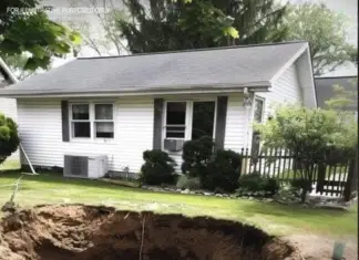 Homeowner Returns to Backyard Treasure Hunt