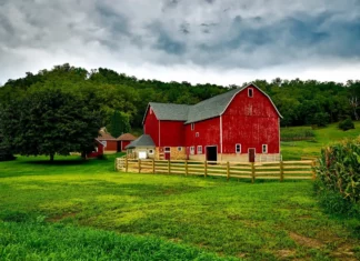 3 incredible farm stories you won’t believe are real