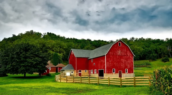 3 incredible farm stories you won’t believe are real