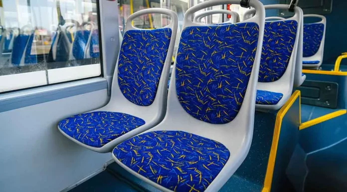 Who Would You Give Your Seat to on the Bus? Your Answer Reveals Personality Insights