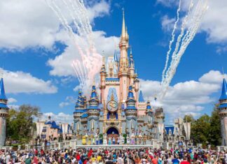 I Took My Grandchildren to Disney World and Now My DIL Is Mad at Me