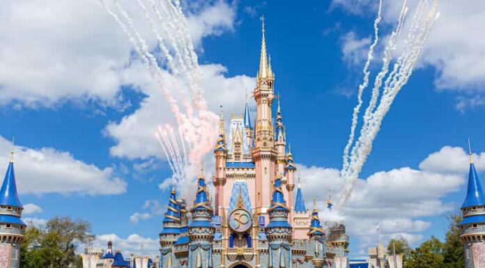 I Took My Grandchildren to Disney World and Now My DIL Is Mad at Me