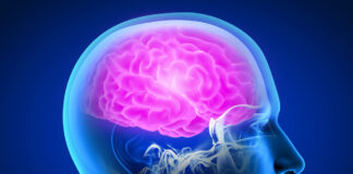 4 Red Flags Your Brain Might Be in Trouble as Experts Warn Alzheimer’s Can Start Decades Before Symptoms Appear