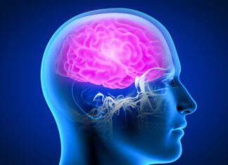 4 Red Flags Your Brain Might Be in Trouble as Experts Warn Alzheimer’s Can Start Decades Before Symptoms Appear