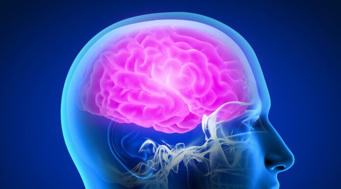4 Red Flags Your Brain Might Be in Trouble as Experts Warn Alzheimer’s Can Start Decades Before Symptoms Appear