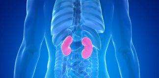 10 Warning Signs Your Kidneys May Be in Danger