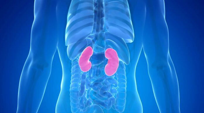 10 Warning Signs Your Kidneys May Be in Danger