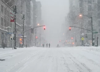 The man I rescued in a storm 20 years ago appeared at my door yesterday