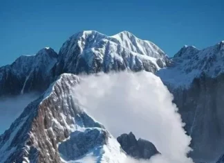 What Do You See in the Image? A Goat or an Eagle? Your Brain Might Decide!