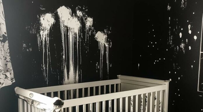 I came home after giving birth to discover my baby’s room completely destroyed and painted black
