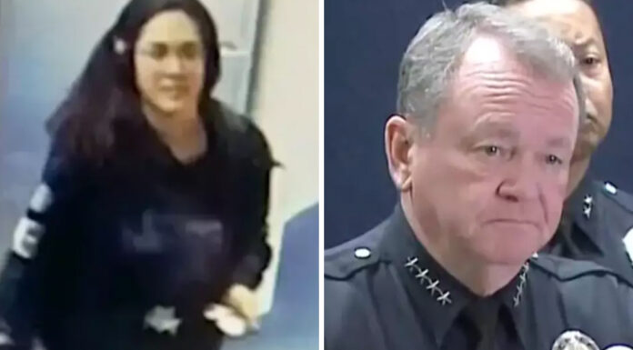 Police issue update on missing Hannah Kobayashi