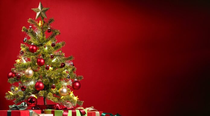 Heartwarming Holiday Moments That Changed My Life Forever