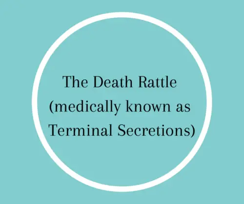 Death Rattle Noise: What it is and what you should know.