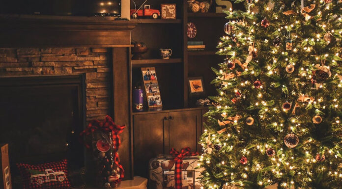 I Sheltered a Freezing Young Man on Christmas Eve—I Was Shocked When That Night He Crept Toward My Bed