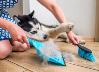 8 subtle signs that someone does not clean their home regularly