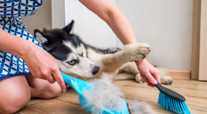 8 subtle signs that someone does not clean their home regularly