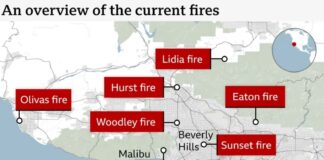 How LA wildfires impacted celebrities