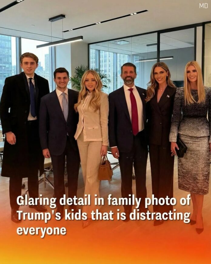 New Trump family photo draws attention online for one interesting detail