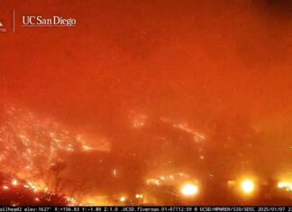 LA’s perfect wildfire: Ignited by a backyard spark, it destroyed 20 square miles of mansions in hours and remains uncontrolled