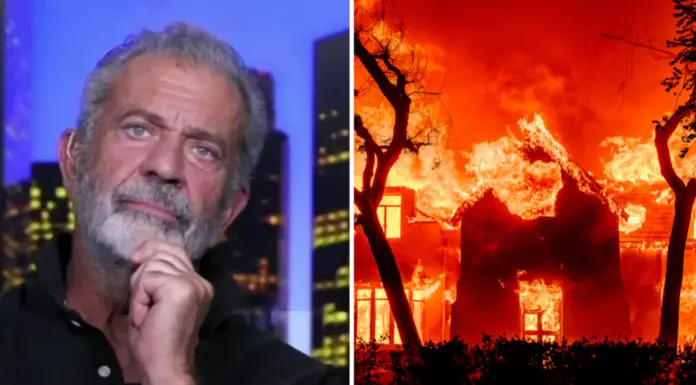 Mel Gibson proposed a ‘crazy’ conspiracy theory about the LA wildfires after his home was destroyed, which left many baffled
