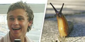 Man ate a slug after a dare, resulting in a tragic outcome