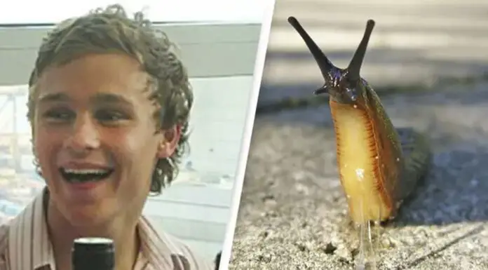 Man ate a slug after a dare, resulting in a tragic outcome