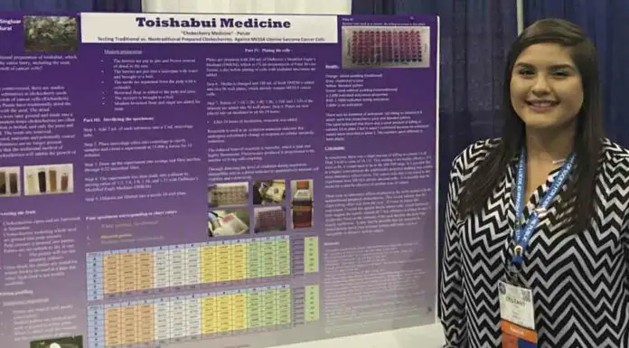 High school student wins science fair by demonstrating how a long-forgotten Native American recipe can kill cancer cells in-vitro